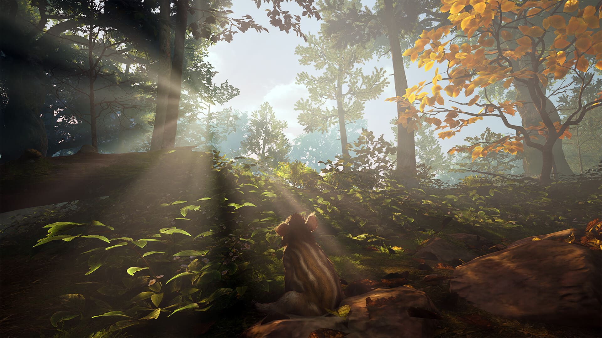 Милое приключение Adorable Adventures выйдет 30 апреля на PC и консолях