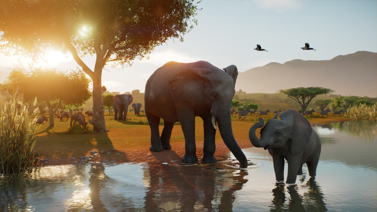 Игроки встретили анонс Planet Zoo 2 с новым трейлером восторженными отзывами