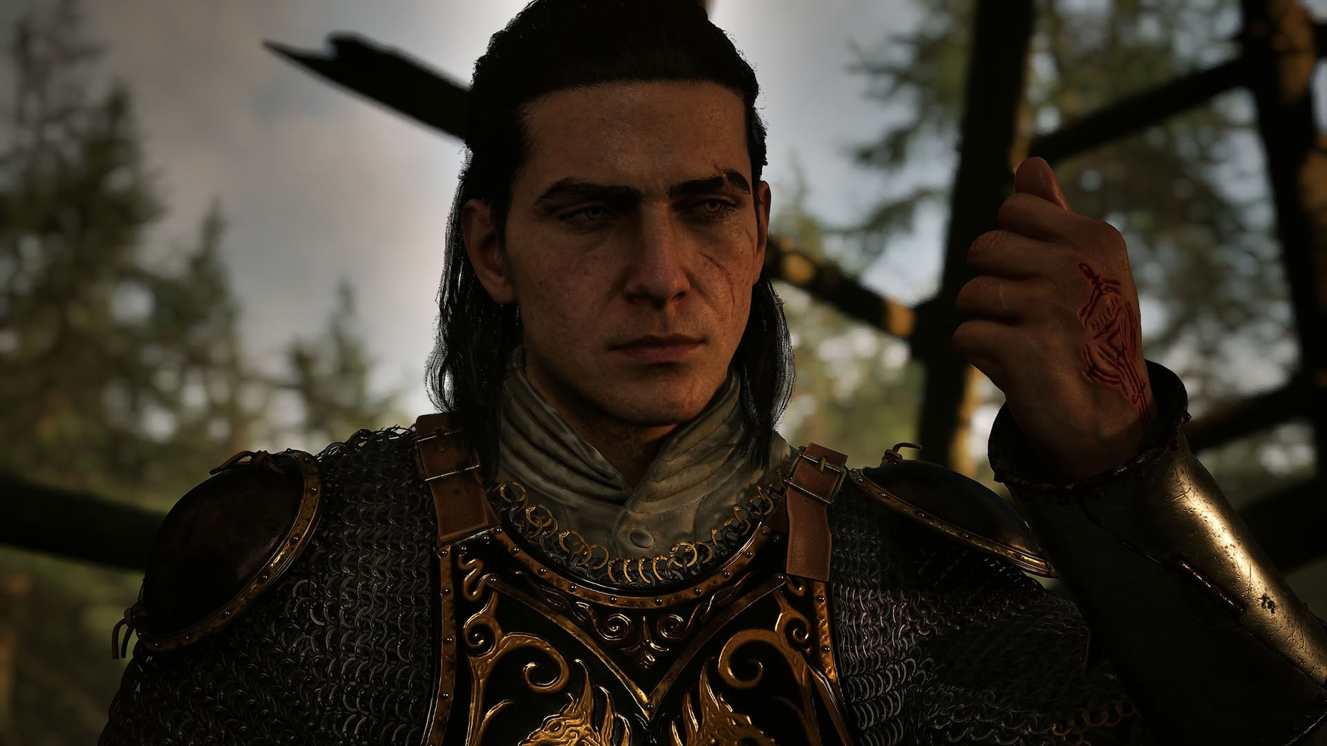 Обложка: видеоигра The Blood of Dawnwalker