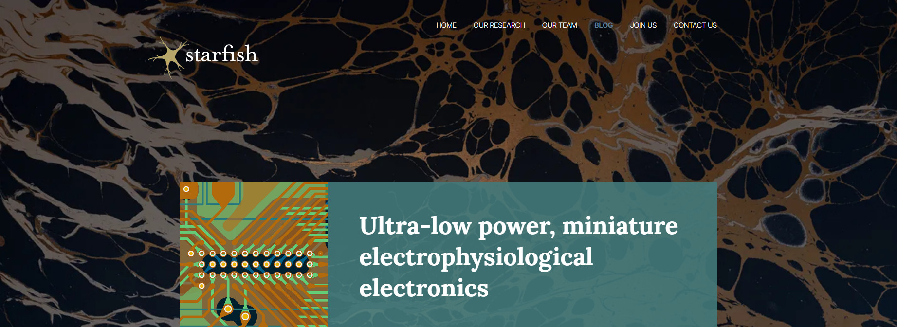 [Starfish](https://starfishneuroscience.com/blog/ultra-low-power-miniature-electrophysiological-electronics/?header-bg=card-bg0)