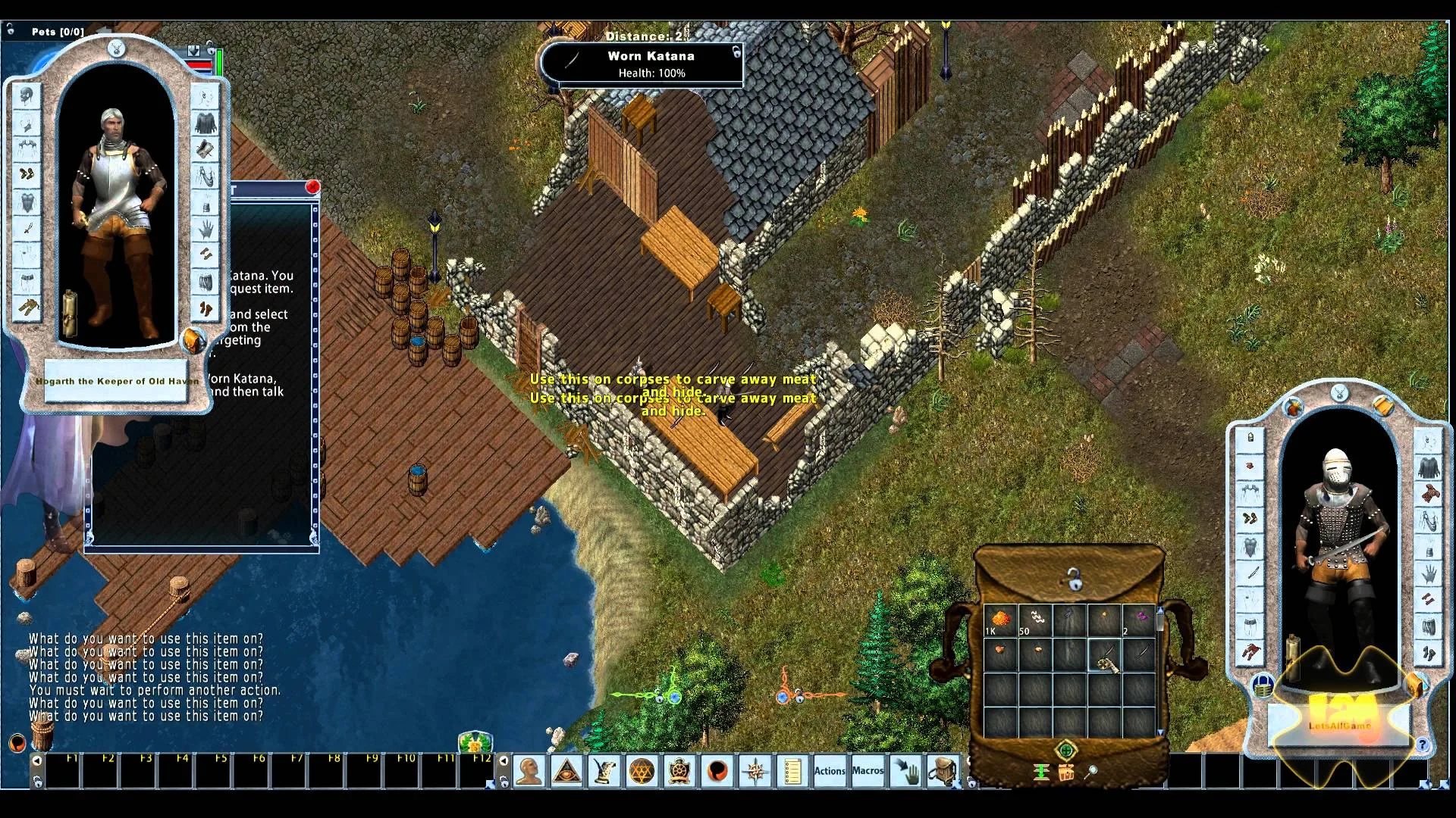 Хроники жанра — как развивались и выживали MMORPG - изображение 5 Хроники жанра — как развивались и выживали MMORPG - фото 5