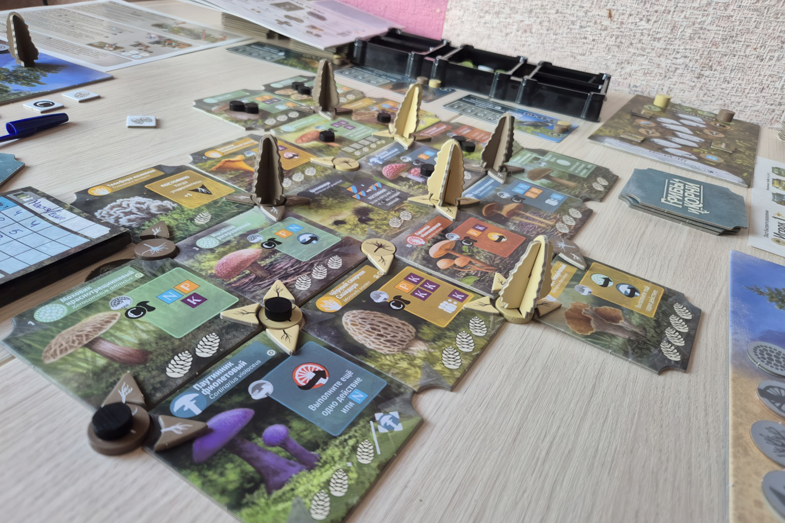 Источник: настольная игра «грибы и корни»
