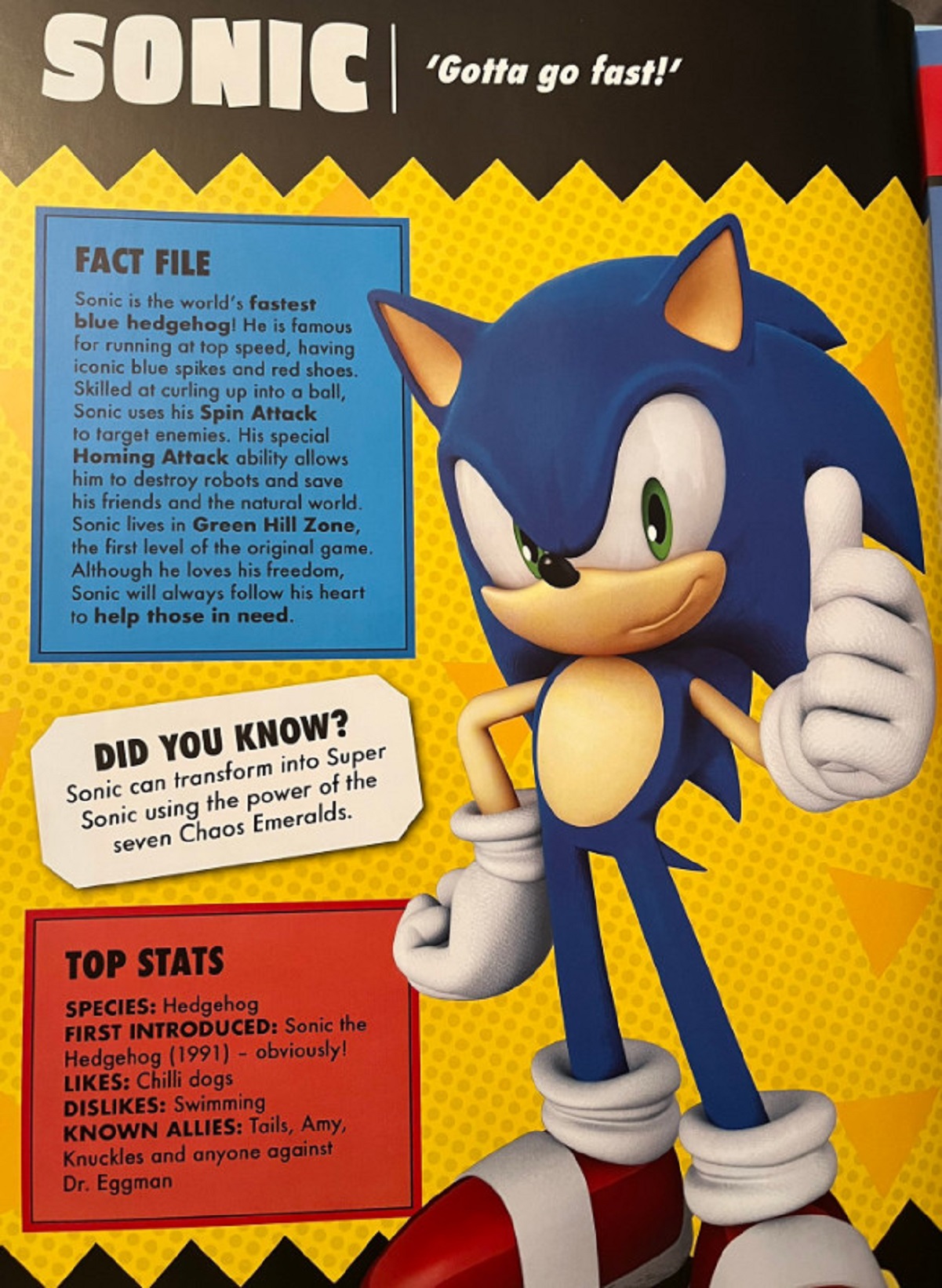 Эксперт по франшизе Sonic the Hedgehog подтвердил статус «бомжа» у Соника - изображение 1 Эксперт по франшизе Sonic the Hedgehog подтвердил статус «бомжа» у Соника - фото 1