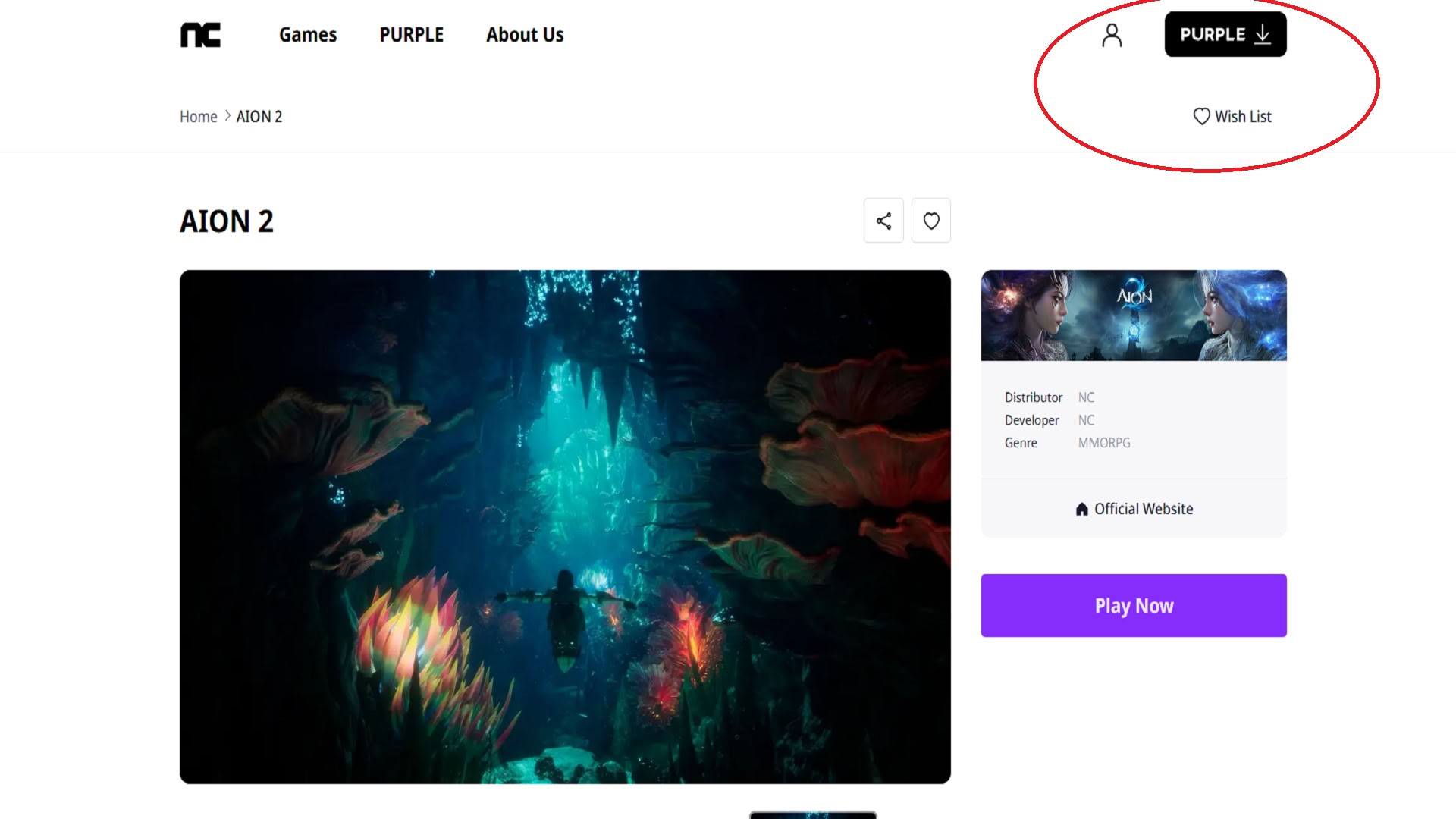 Источник: лаунчер Aion 2