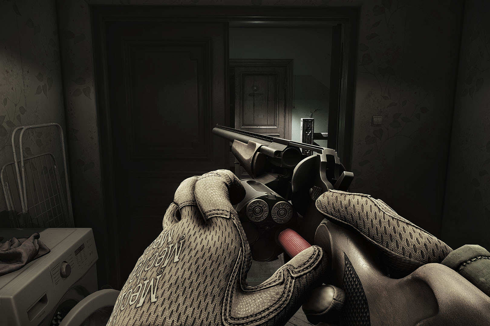 В 2025 году проект готовится к полноценному релизу.