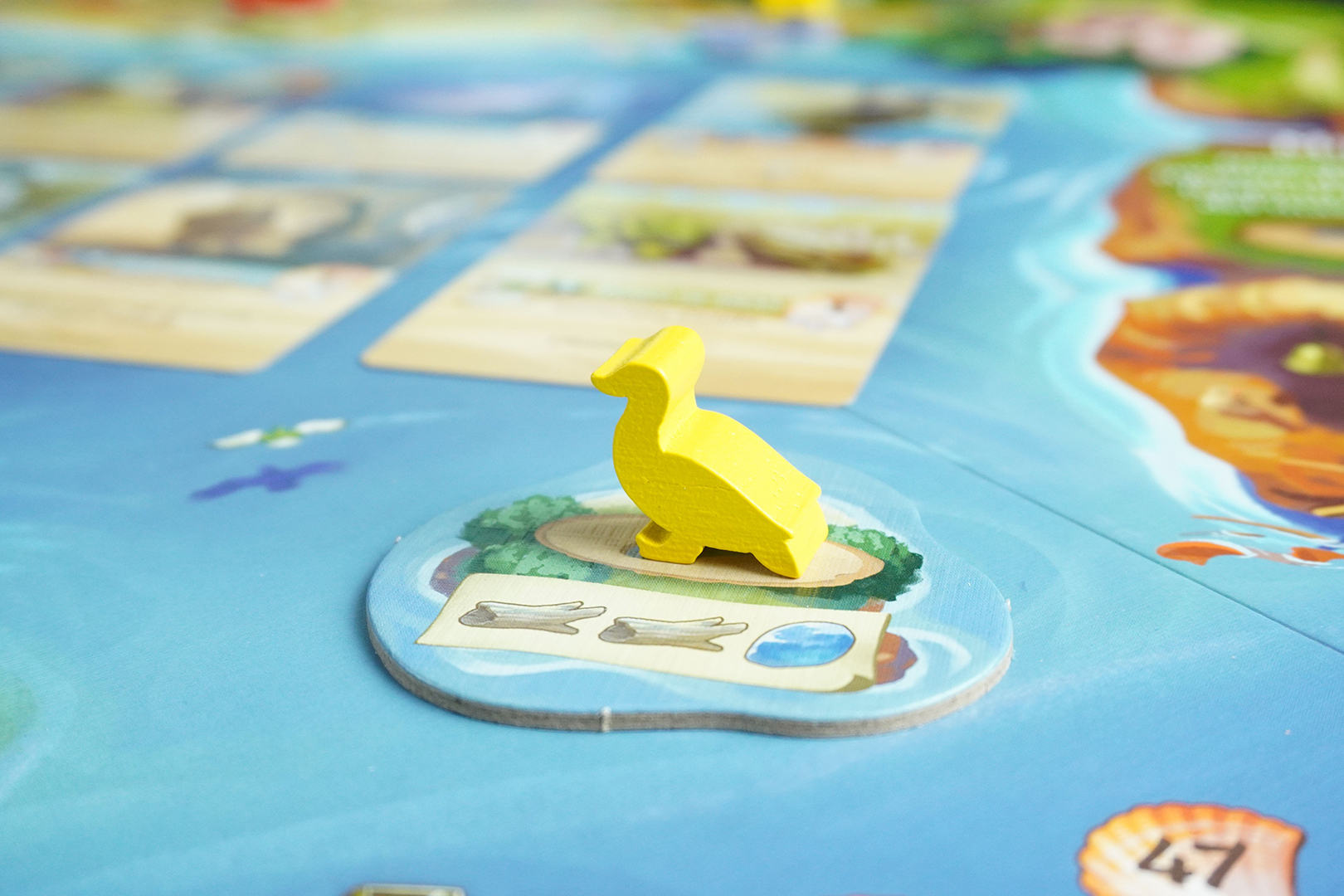 Один из островов, в котором доступно уникальное действие.
Источник: BoardGameGeek