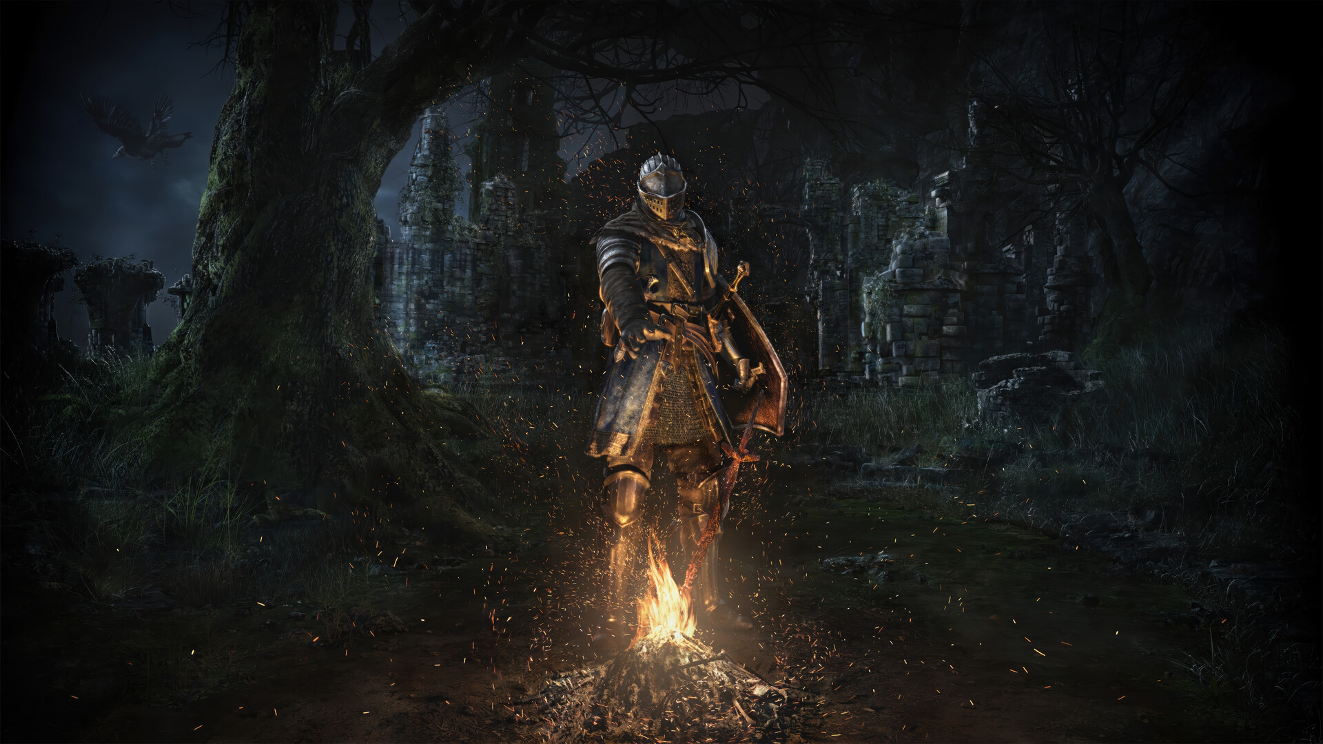 Источник: видеоигра Dark Souls: Remastered