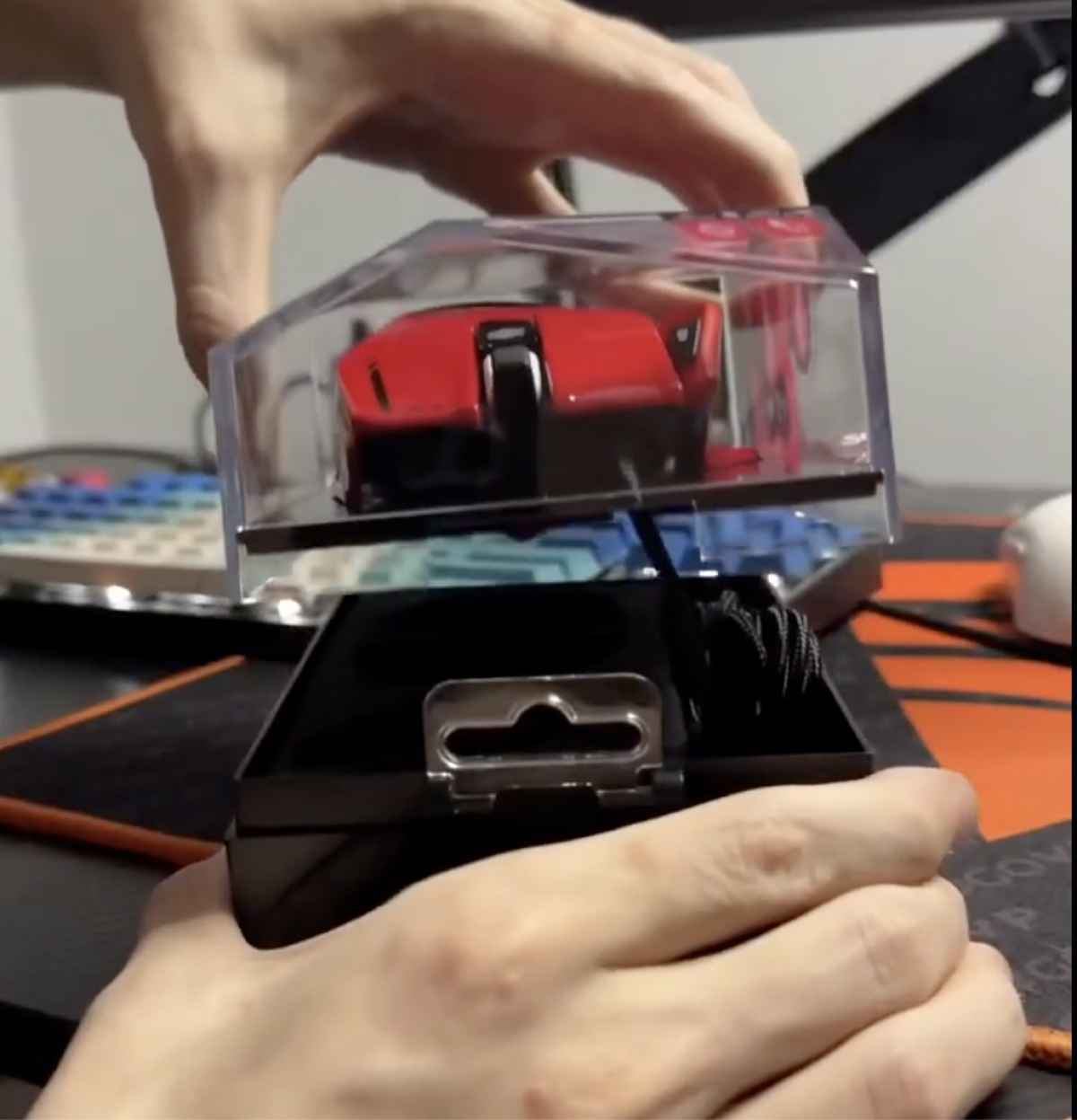 Mad Catz подвела итоги сотрудничества с блогерами в 2024 году - изображение 1 Mad Catz подвела итоги сотрудничества с блогерами в 2024 году - фото 1