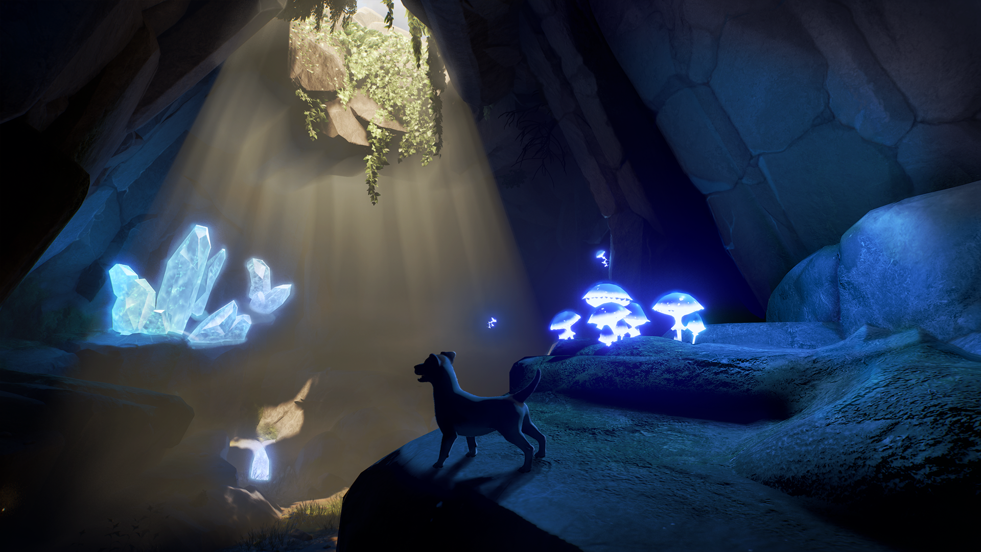 Источник: видеоигра Toto's Journey