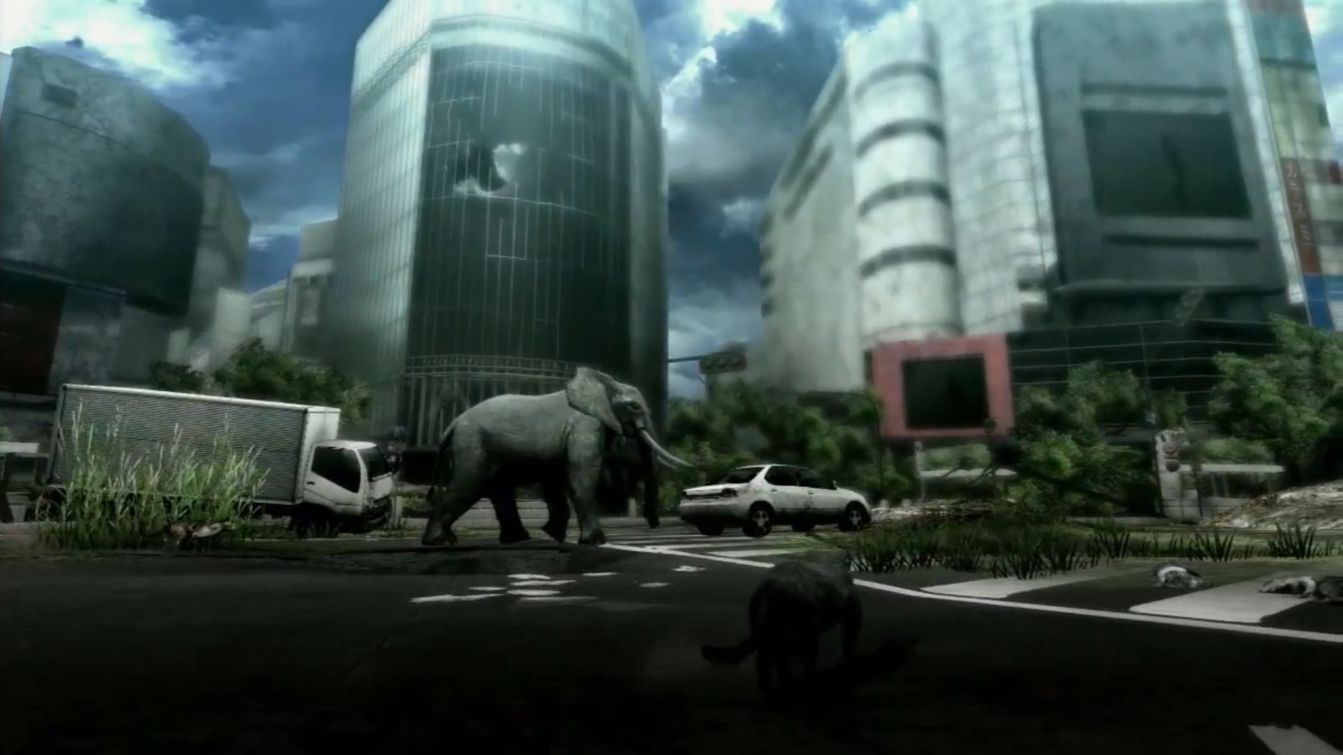 Источник: видеоигра Tokyo Jungle