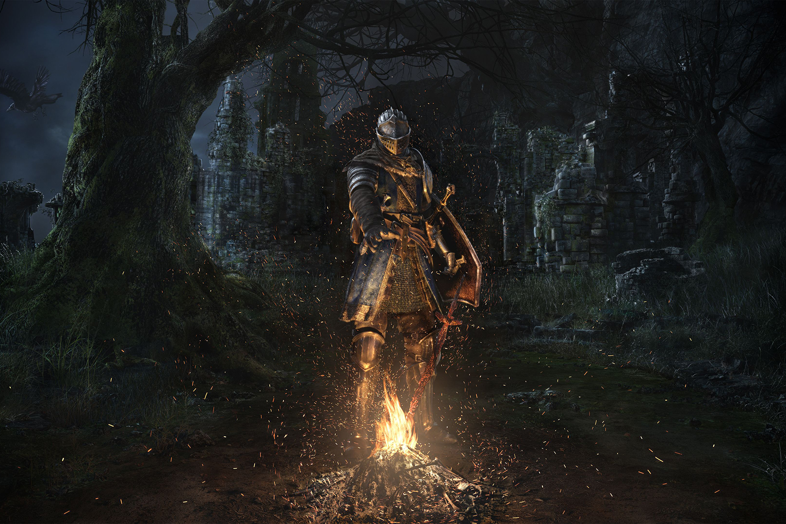 Источник: видеоигра Dark Souls: Remastered
