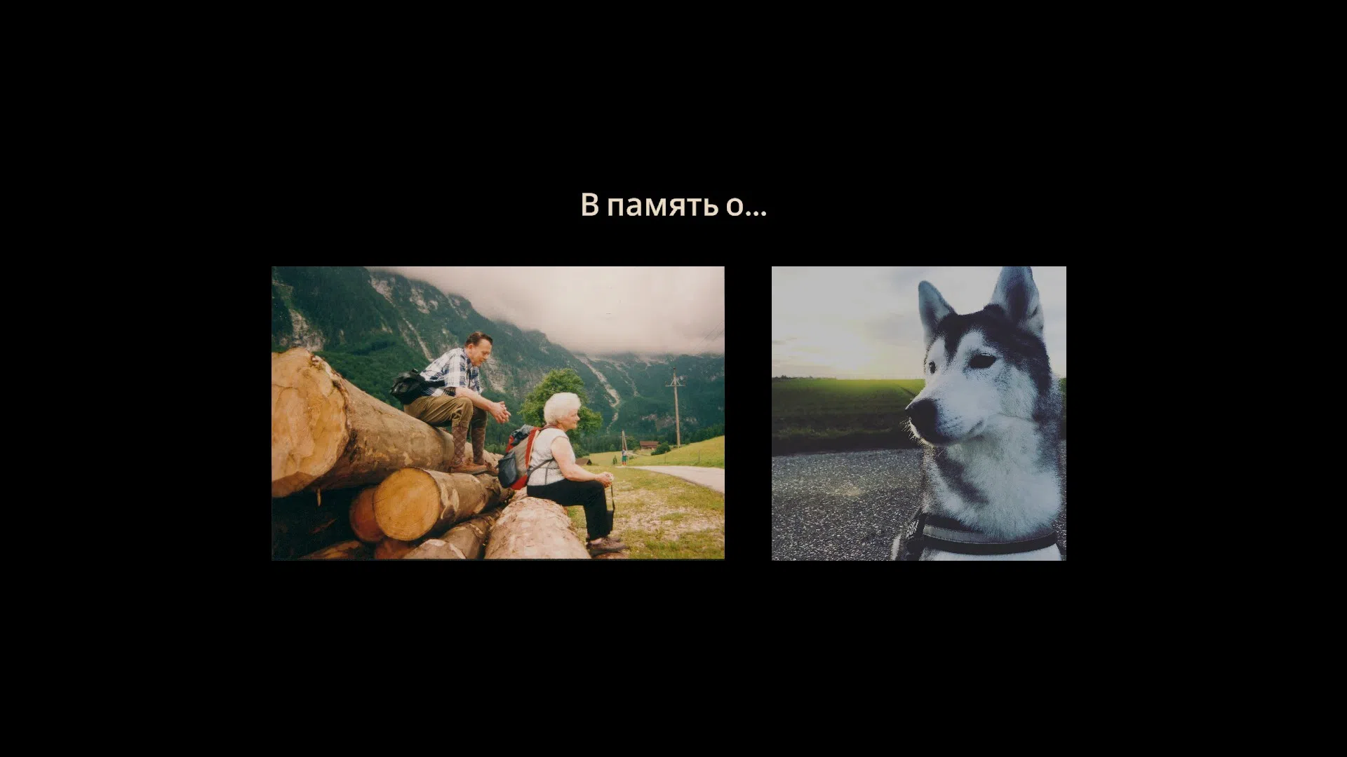 История Альфреда и Одри основана на реальных событиях.

Источник: видеоигра Forever Ago