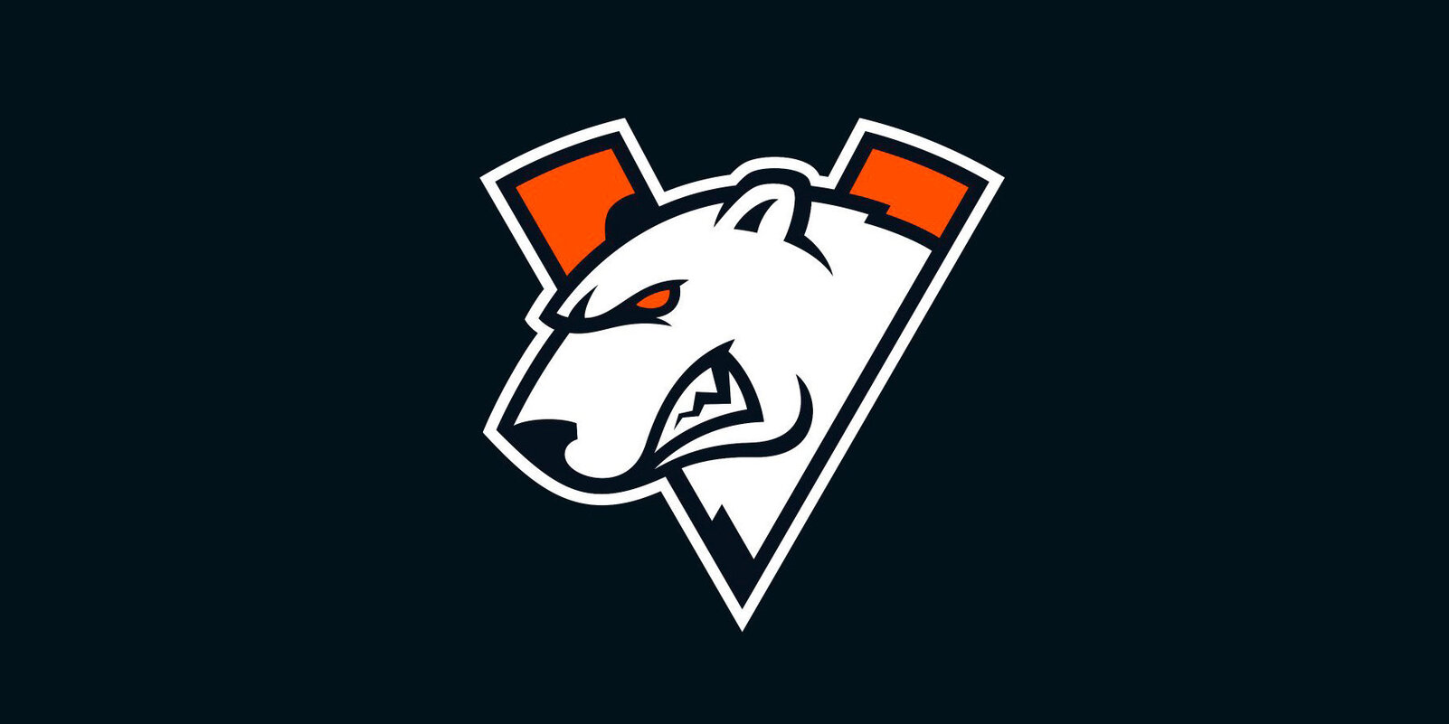 Новый виток Virtus.pro: взгляд изнутри