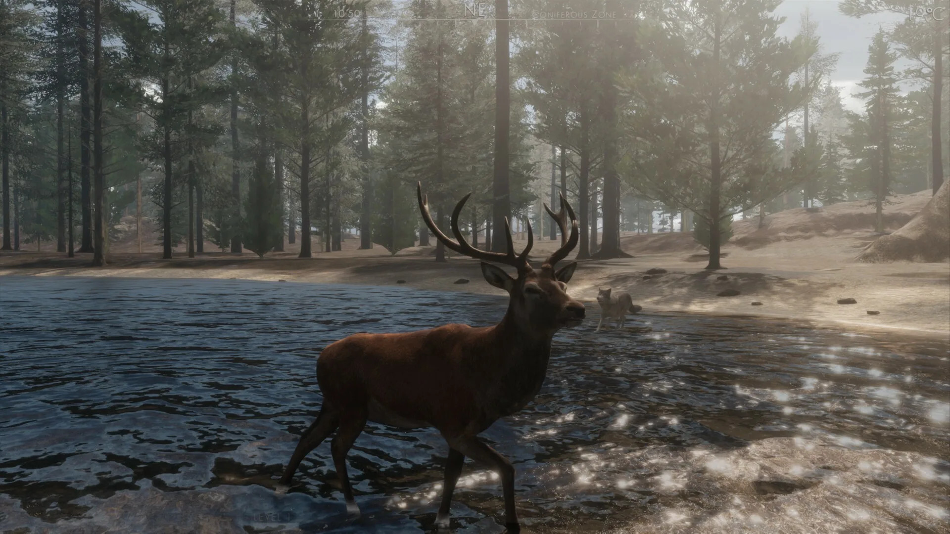 Источник: видеоигра The WILDS
