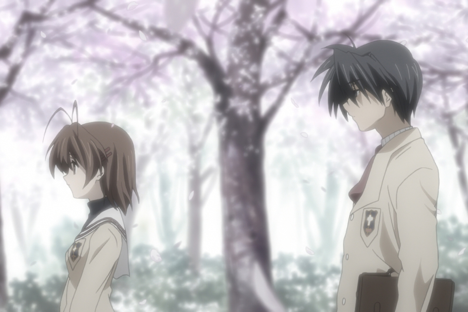 Два спецвыпуска посвящены альтернативному ходу развития событий с сёстрами Фудзибаяси и Томоё Сакагами.

Источник: Kyoto Animation