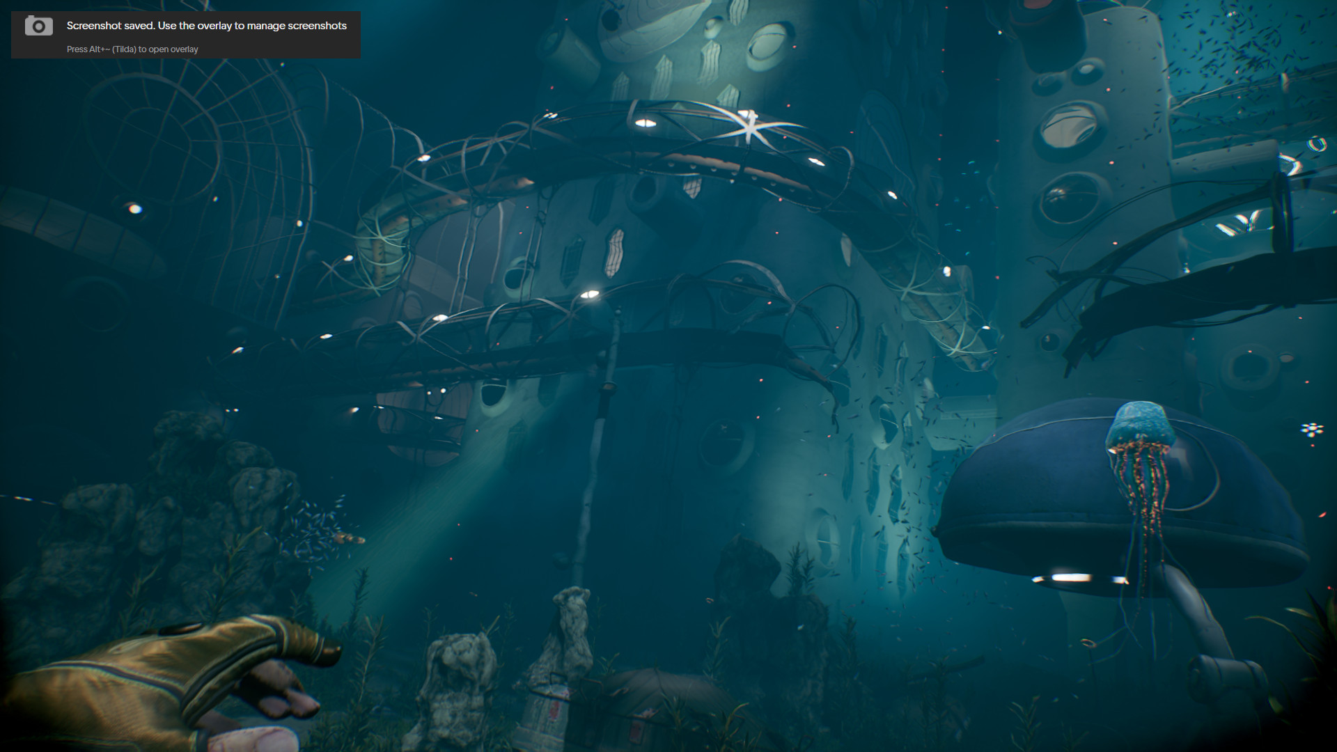 Да, подводный мир здесь действительно волшебный! Жаль, что его так мало…