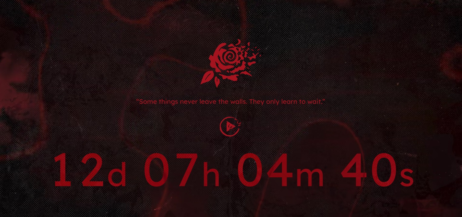Теорию о ремейке Rule of Rose опроверг генеральный директор Bloober Team - фото 1
