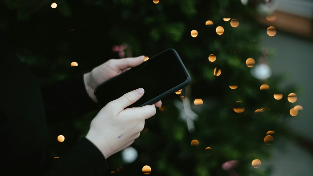 Кадр: Annie Spratt