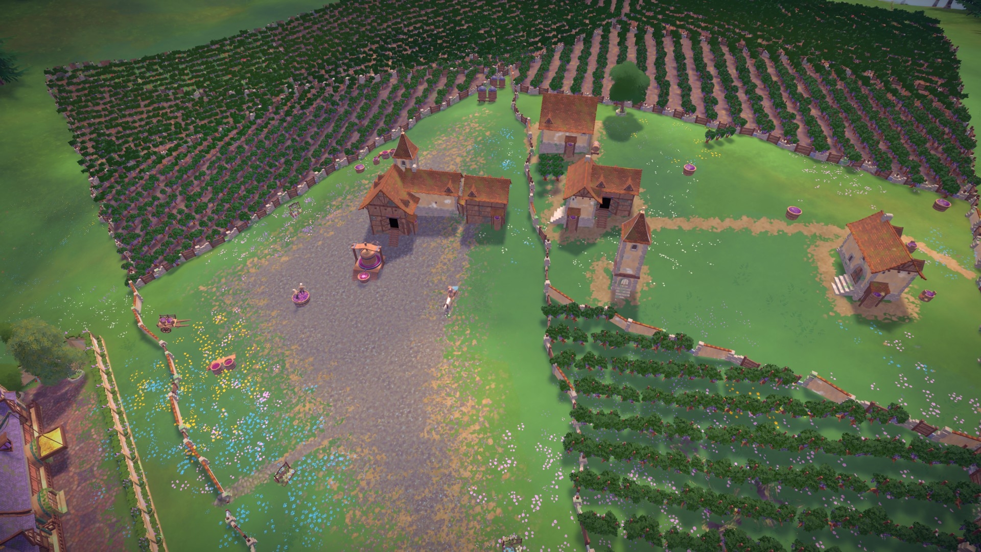 При желании виноградники можно обустроить хоть на половине карты.
Источник: видеоигра City Tales — Medieval Era