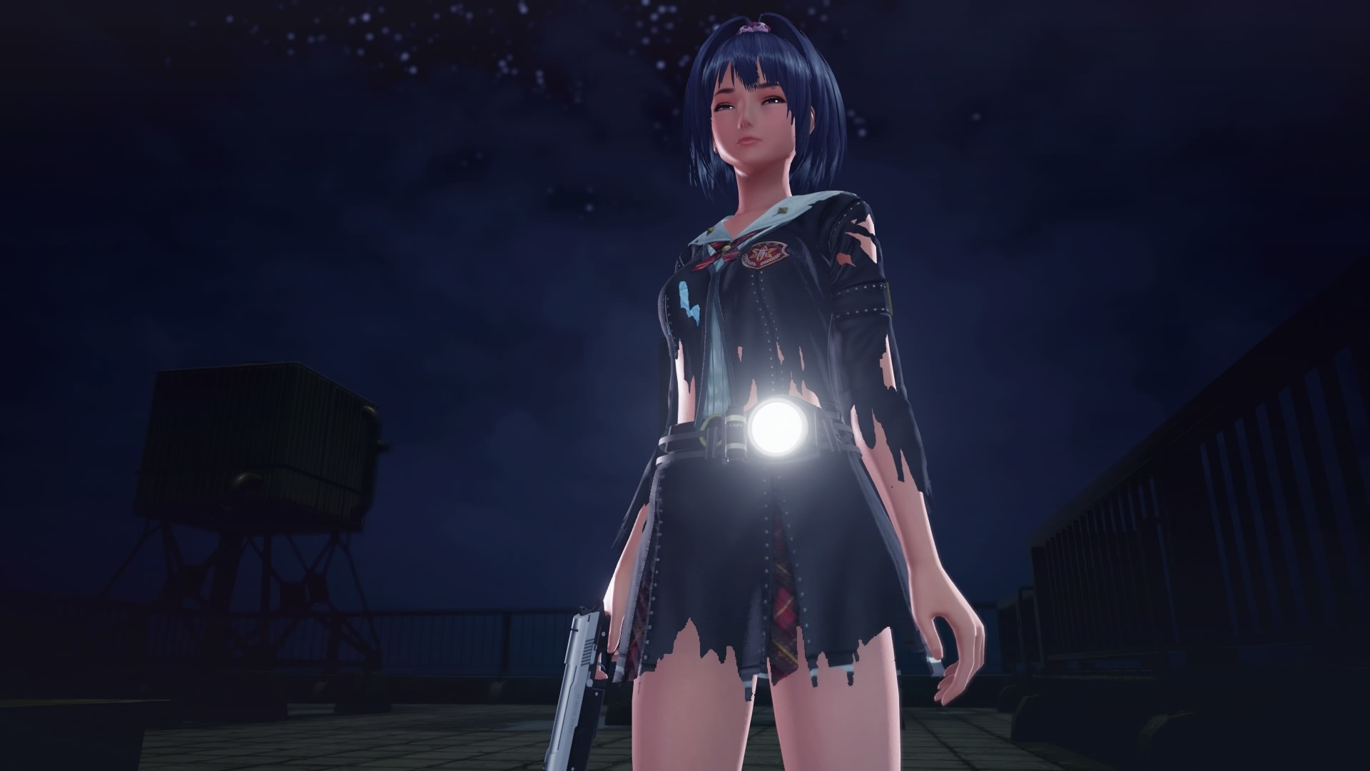 Источник: видеоигра SG/ZH: School Girl/Zombie Hunter