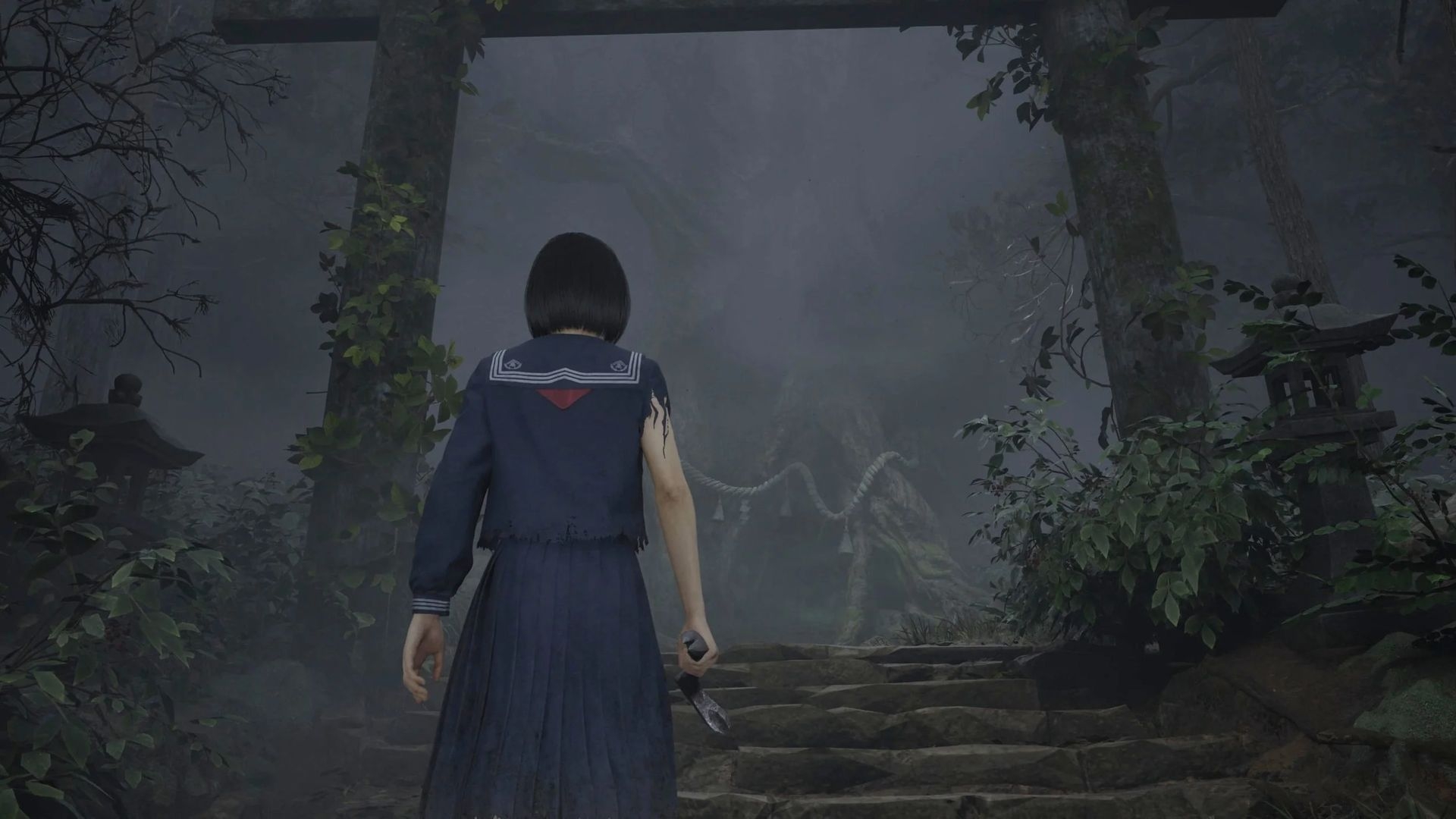 Источник: видеоигра Silent Hill f