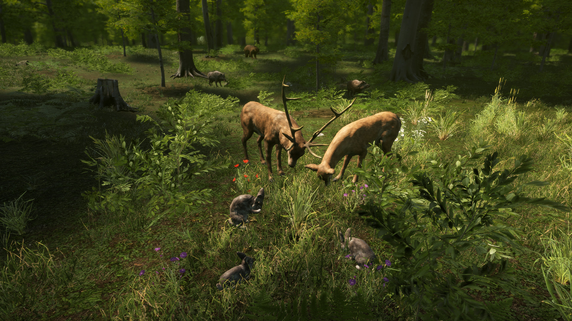 Источник: видеоигра Natural Instincts: European Forest