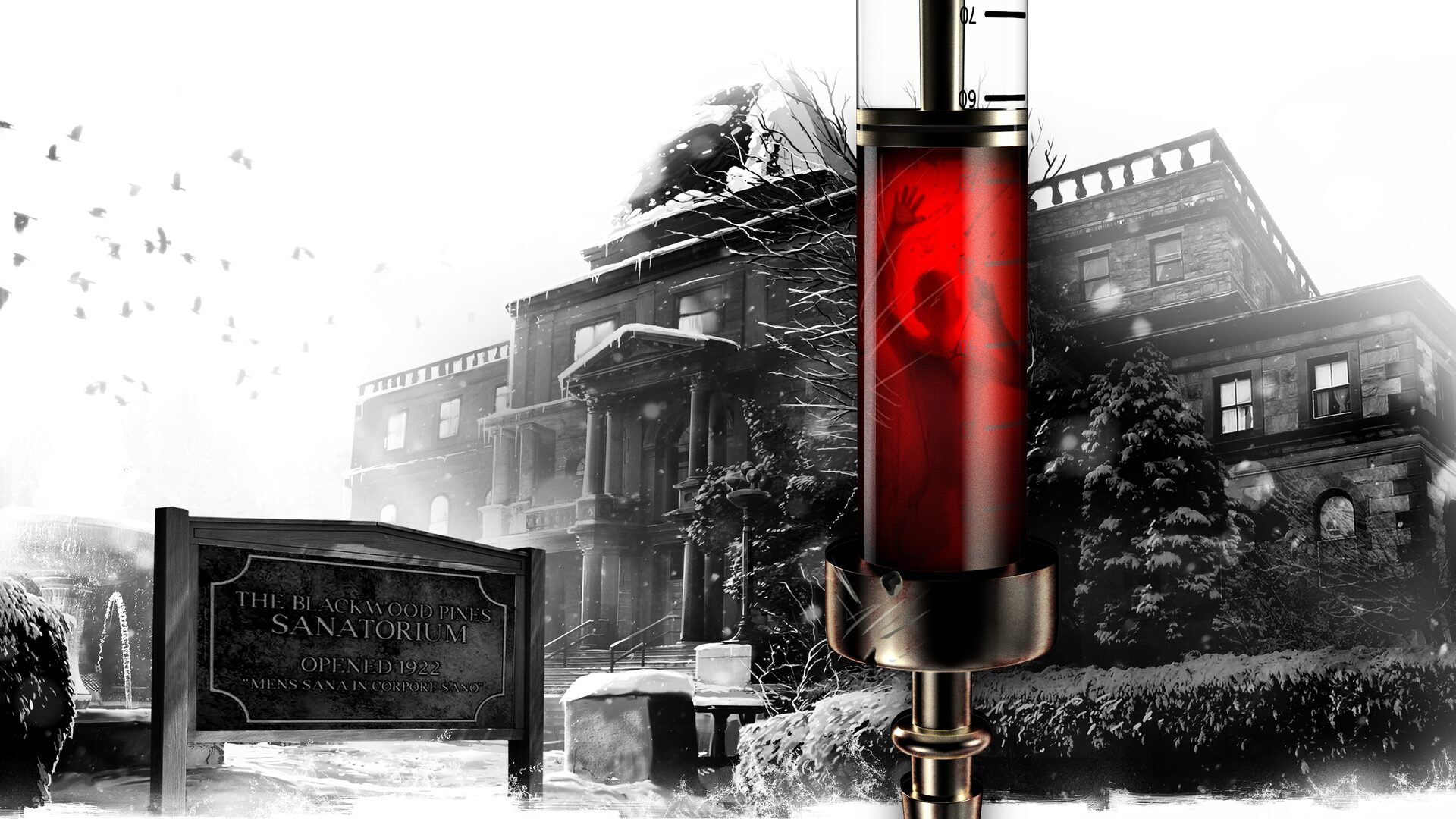 Источник: видеоигра The Inpatient