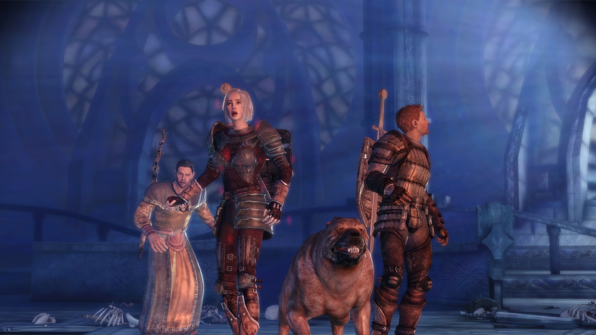 Источник: видеоигра Dragon Age: Origins