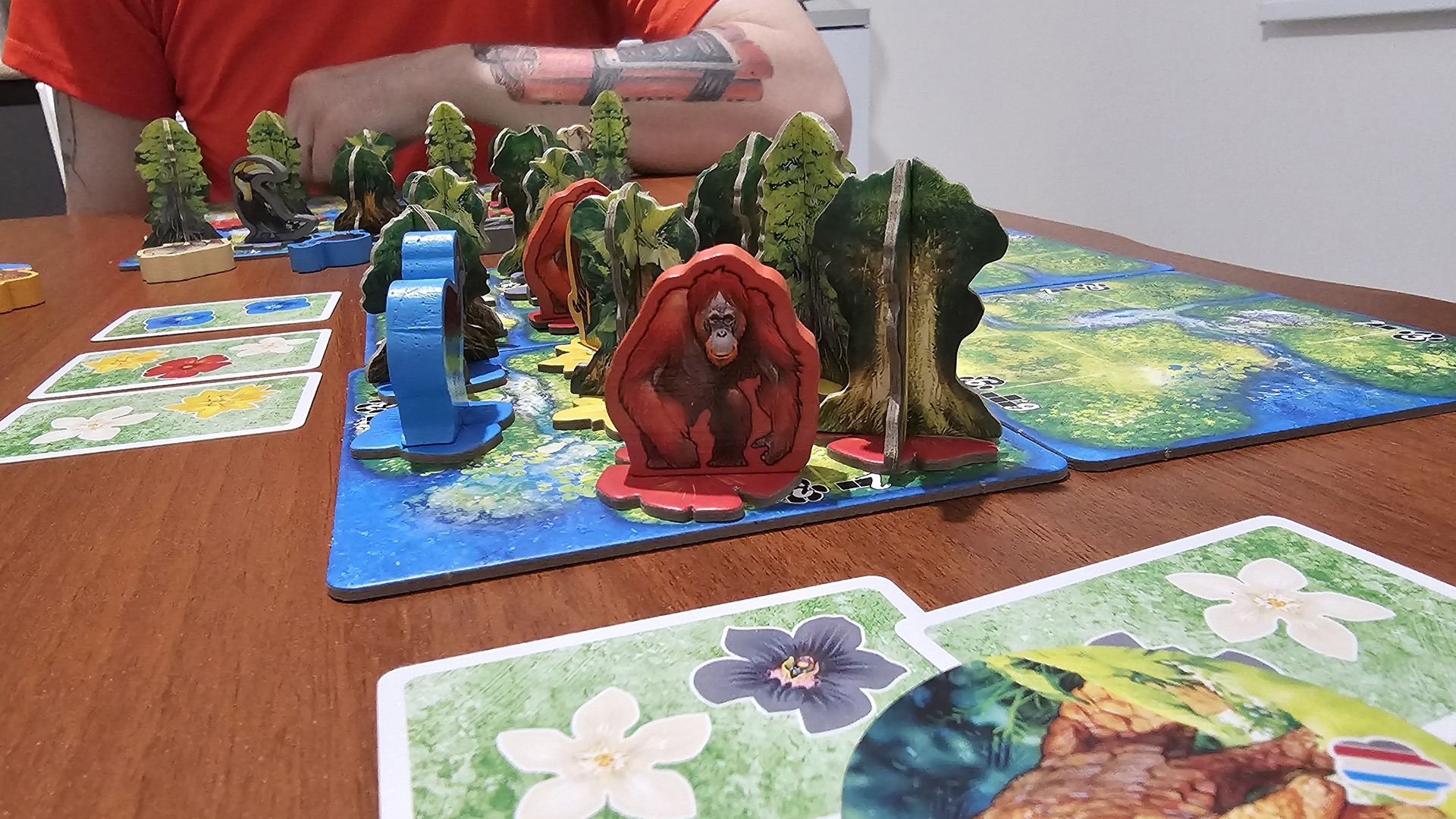 Источник: настольная игра«Хутан»
