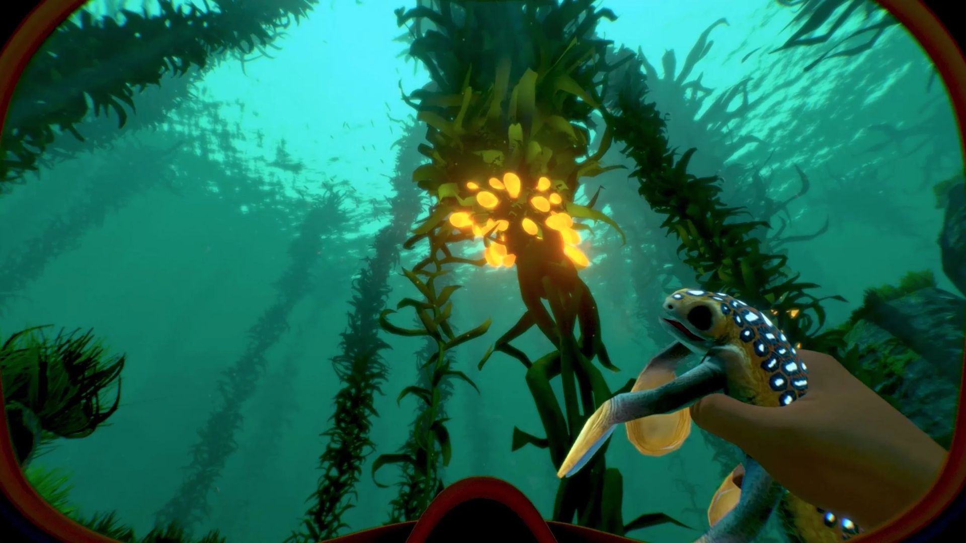 Источник: видеоигра Subnautica