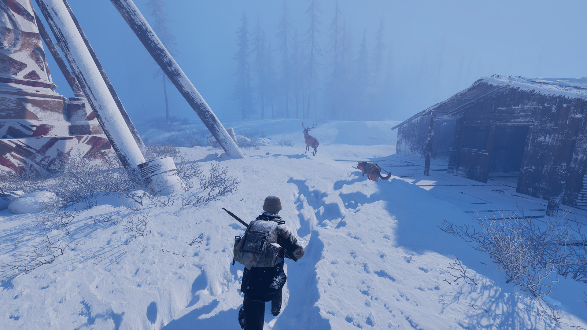 Олени и кабаны — главный источник пищи в Permafrost.
Источник: видеоигра Permafrost
