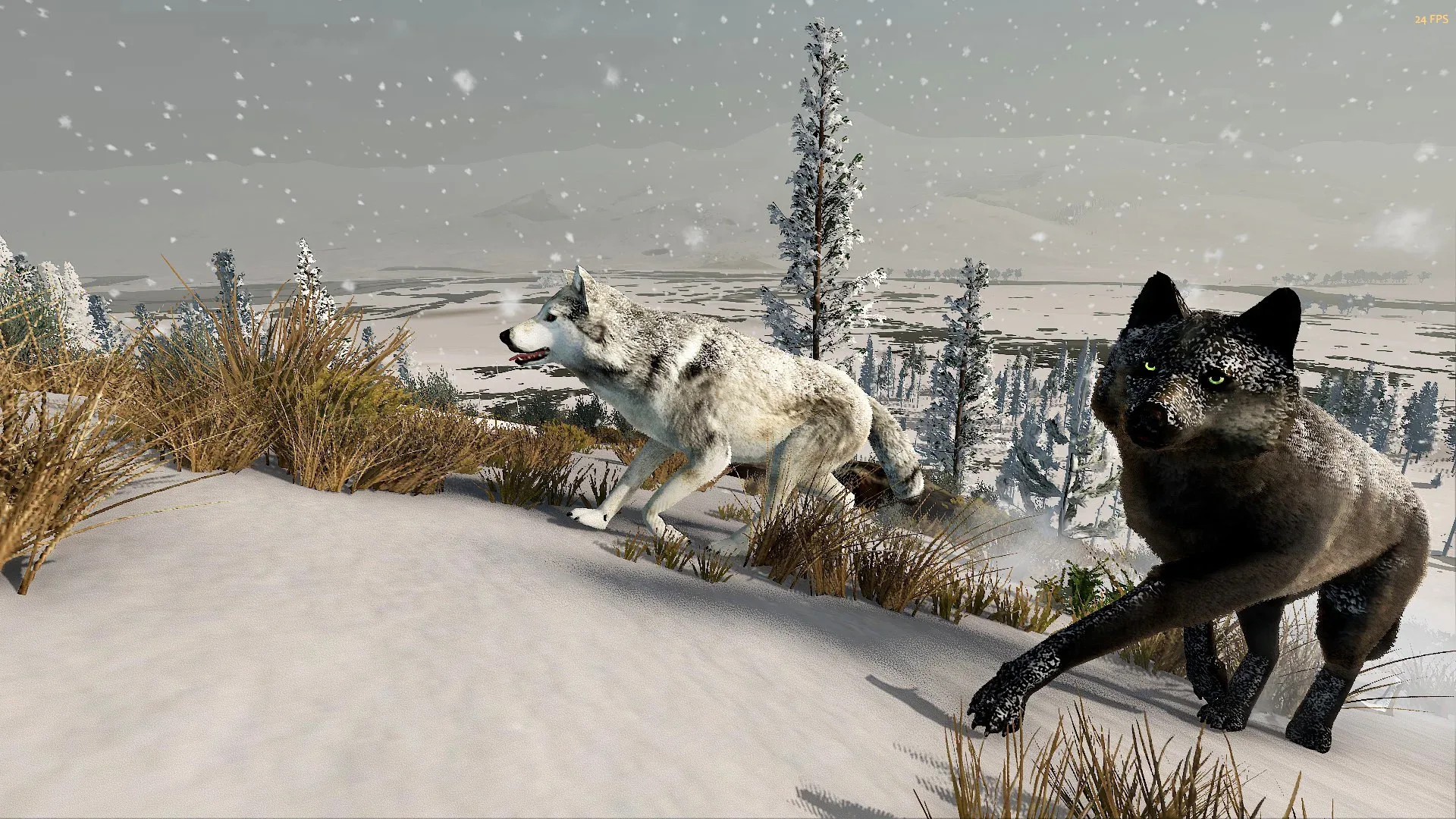 Источник: видеоигра WolfQuest: Anniversary Edition