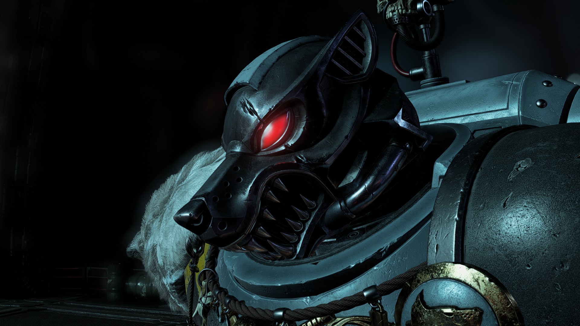 Чемпион Космических Волков.
Источник: видеоигра Warhammer 40,000: Space Marine 2