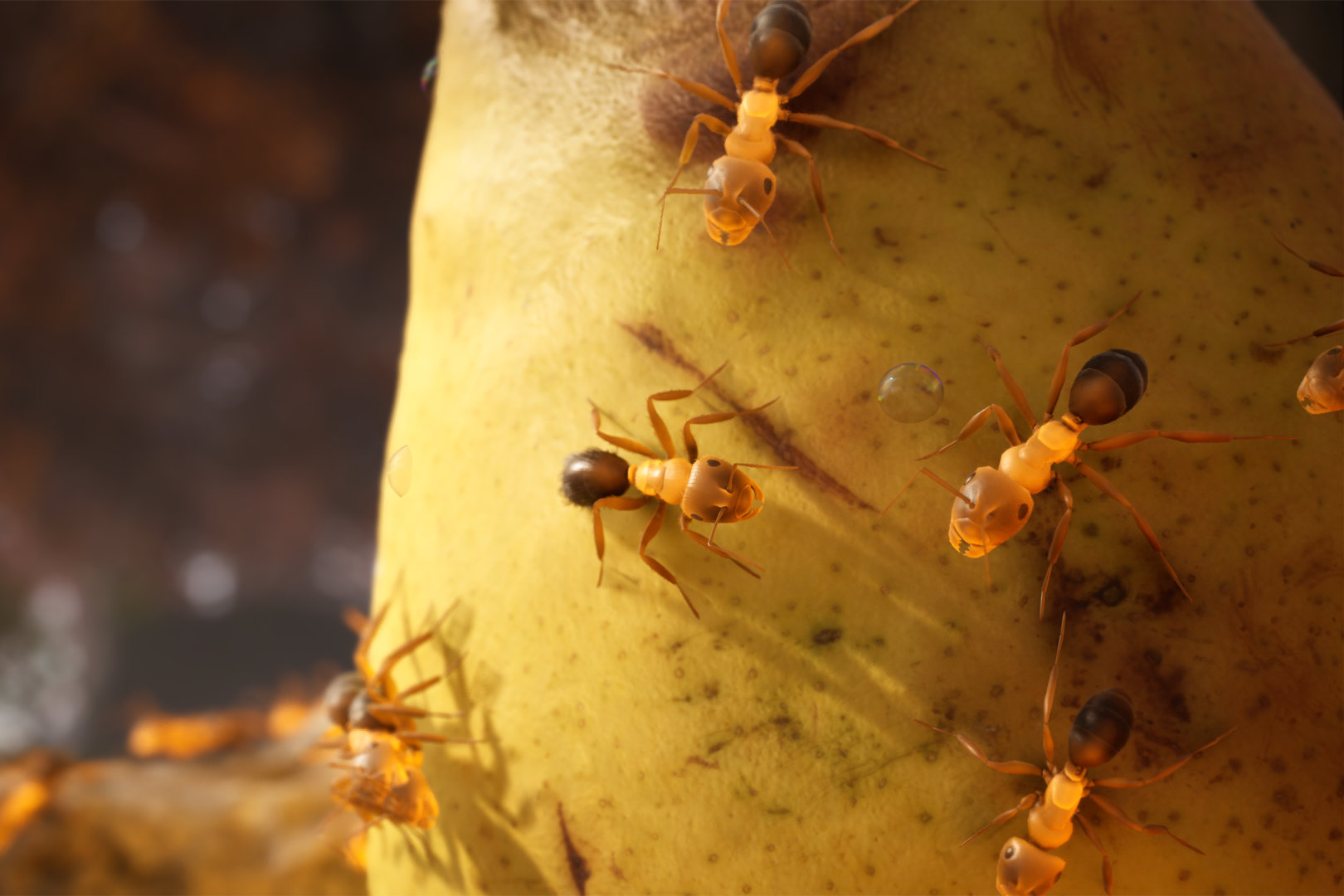 Под нашим управлением оказывается муравьиная колония.
Источник: видеоигра Empire of the Ants