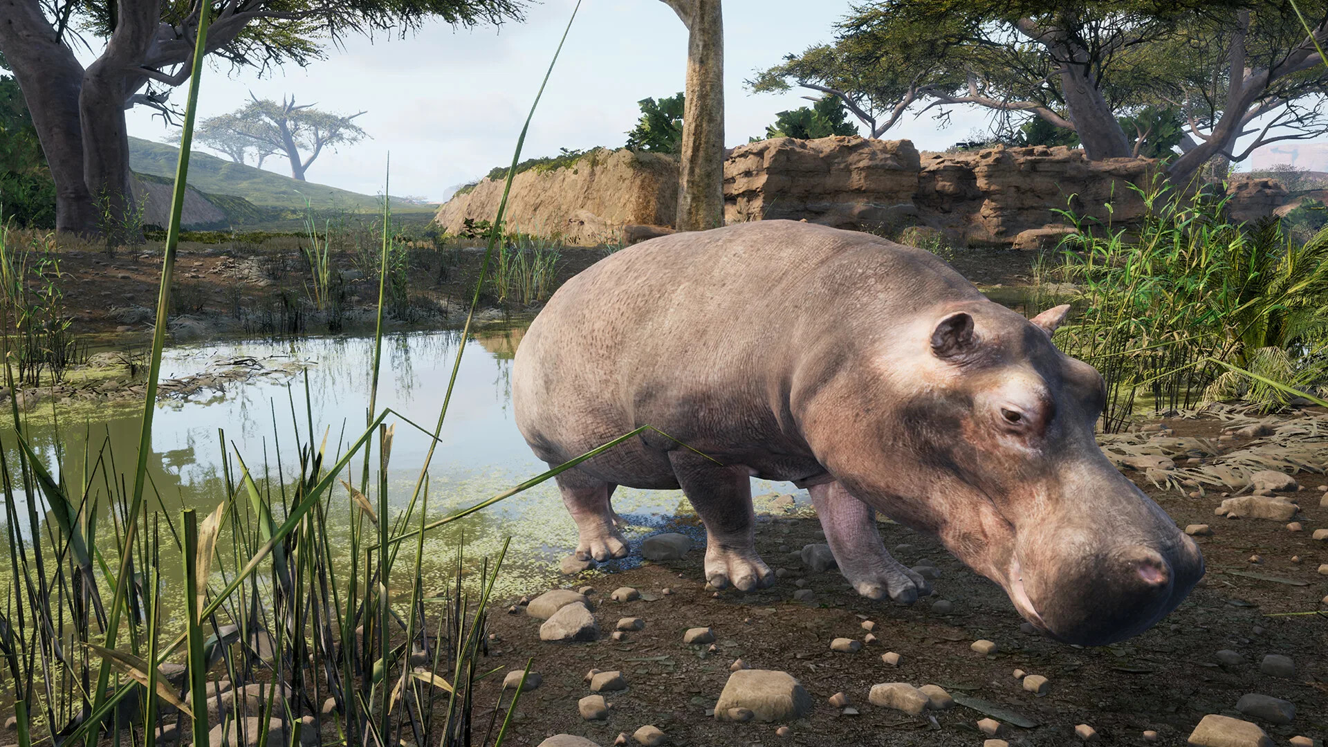 Источник: видеоигра Animalia Survival