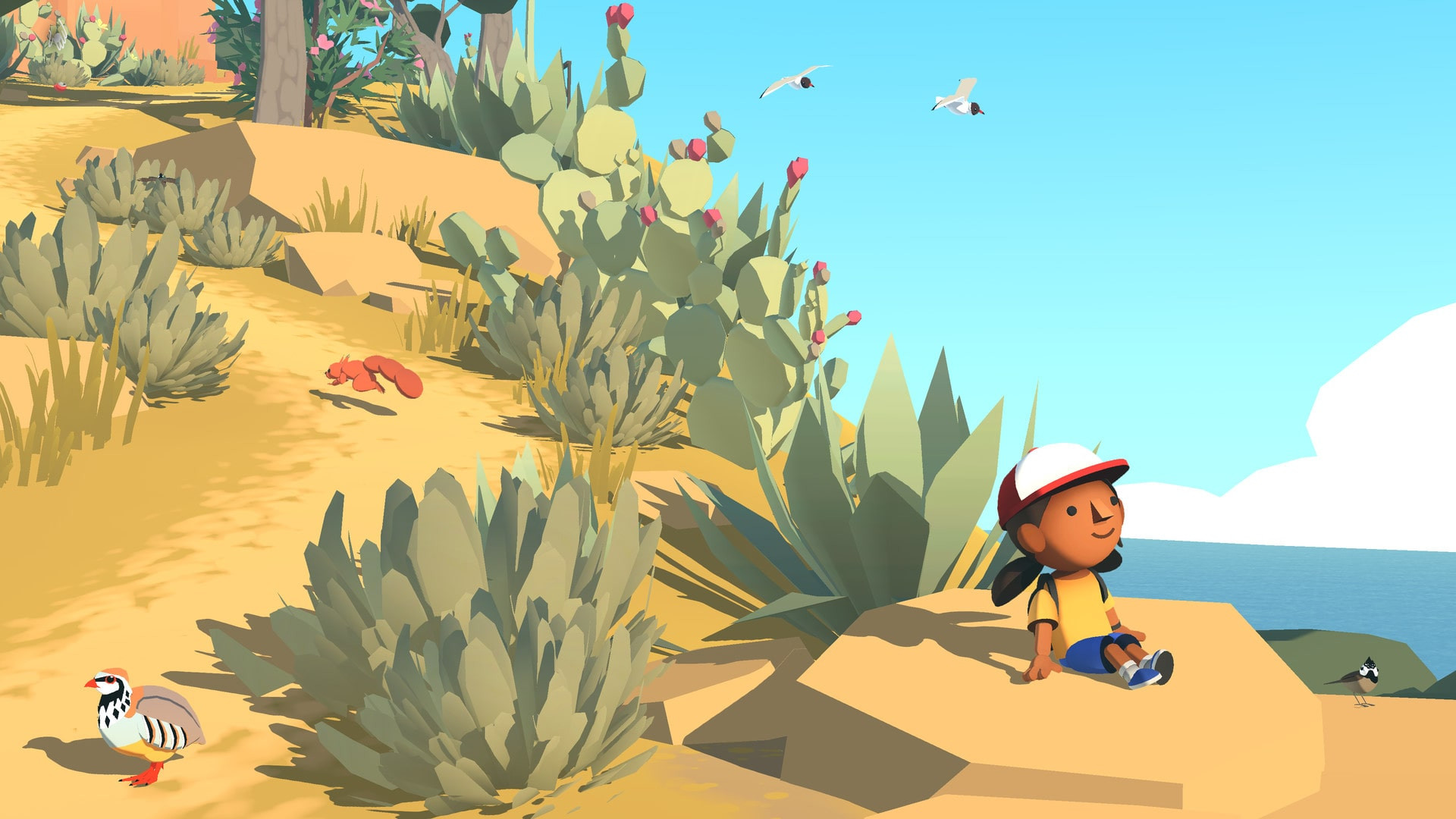 Источник: видеоигра Alba: A Wildlife Adventure