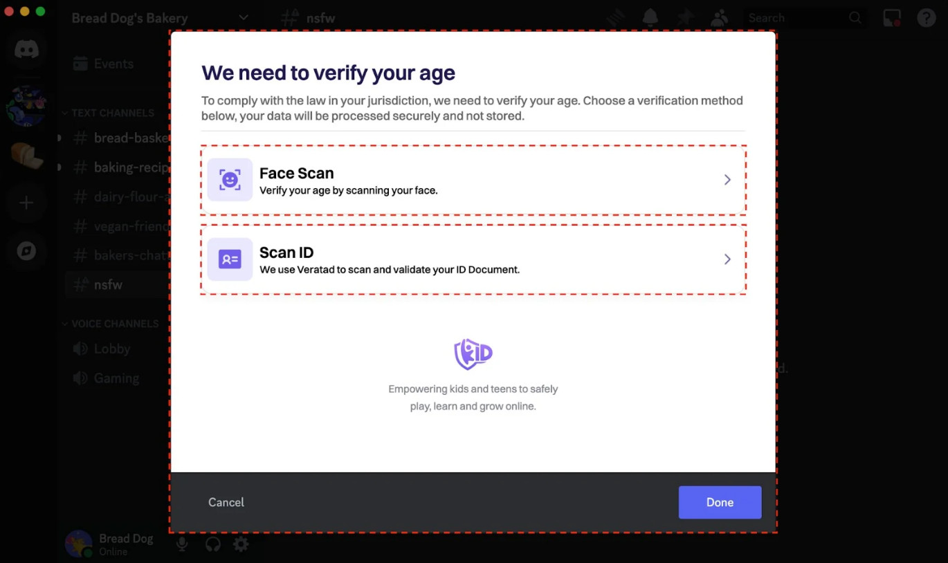 Discord проводит эксперимент: нужно отсканировать лицо для доступа к взрослому контенту - изображение 1 Discord проводит эксперимент: нужно отсканировать лицо для доступа к взрослому контенту - фото 1