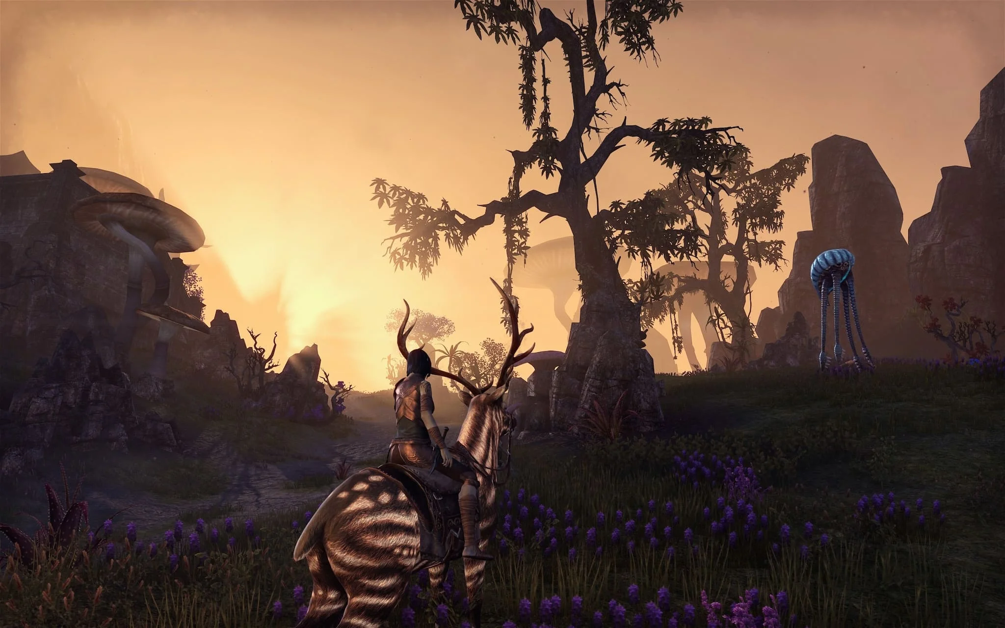  Кроссплей в The Elder Scrolls Online: когда ждать и что мешает? 