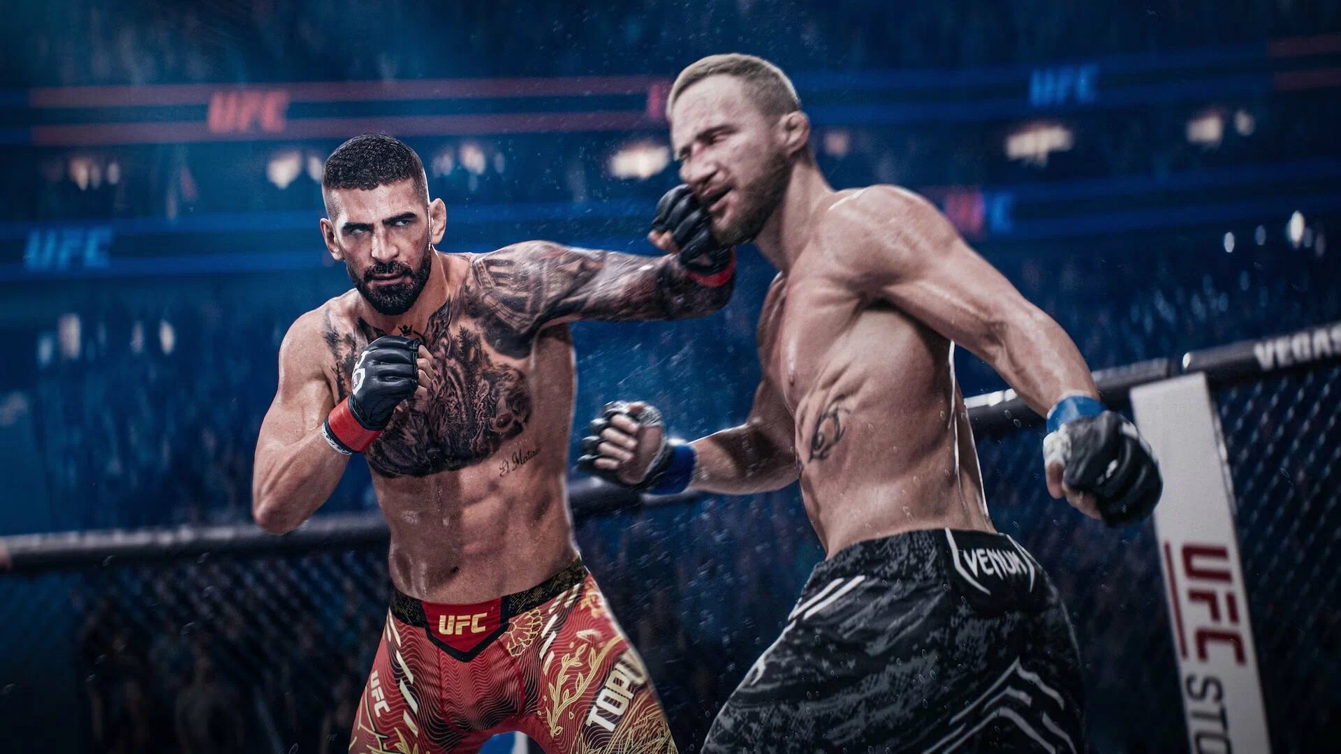 Источник: видеоигра UFC 6