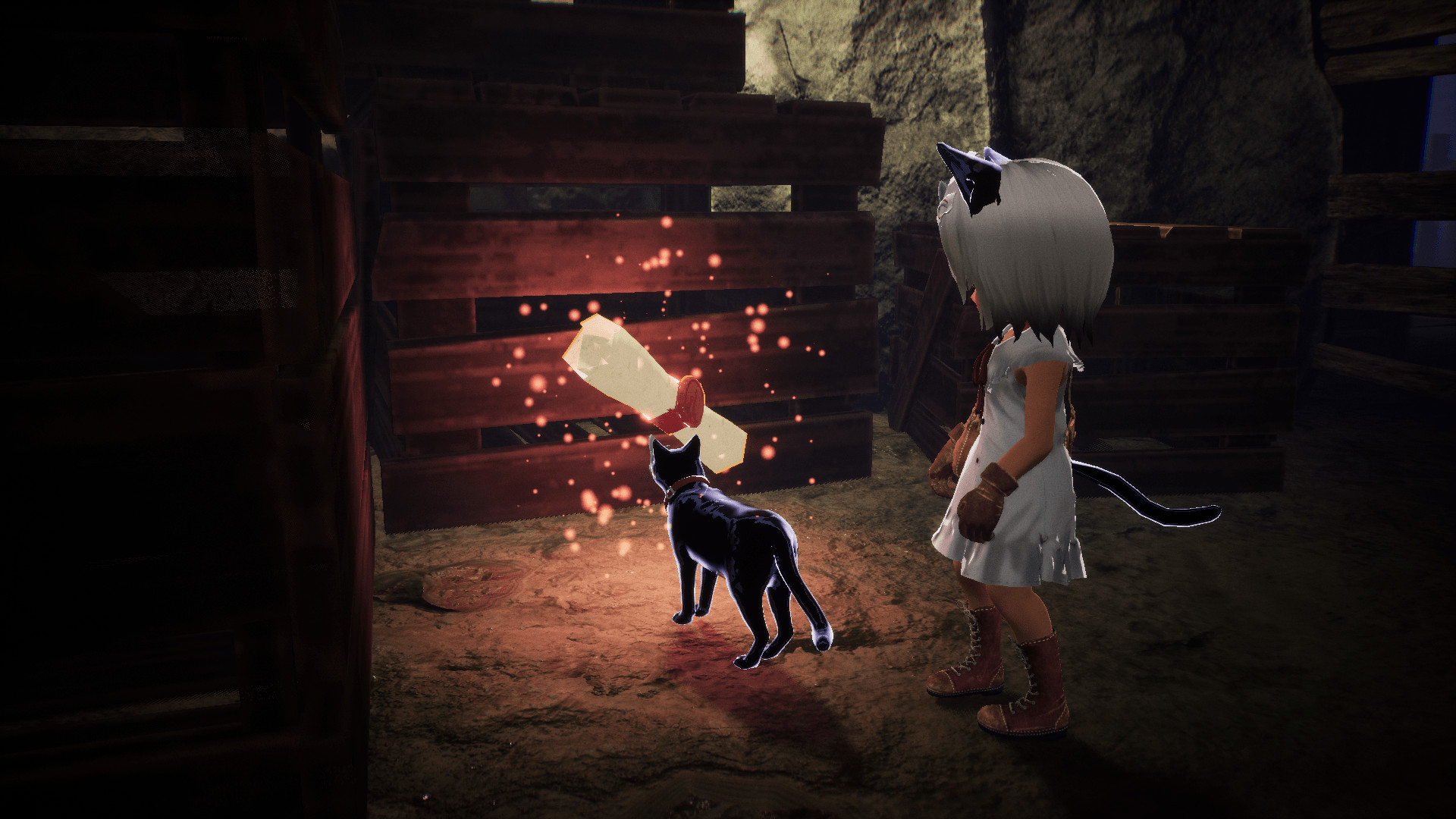 Источник: видеоигра LIGHT: Black Cat &amp; Amnesia Girl