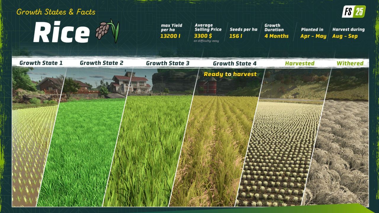 В Farming Simulator 25 впервые появится азиатская карта с рисом - изображение 2 В Farming Simulator 25 впервые появится азиатская карта с рисом - фото 2