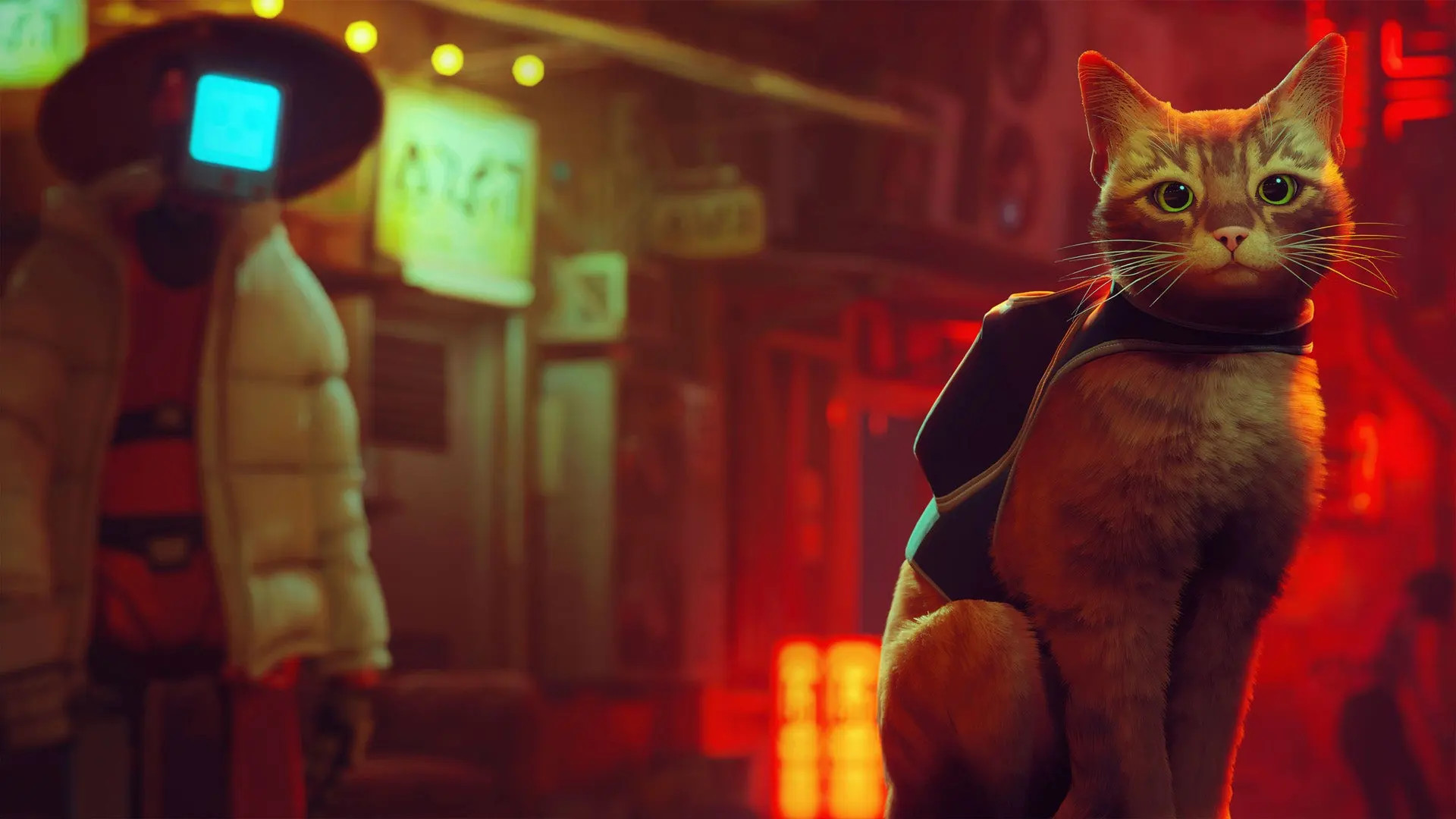 Источник: видеоигра Stray