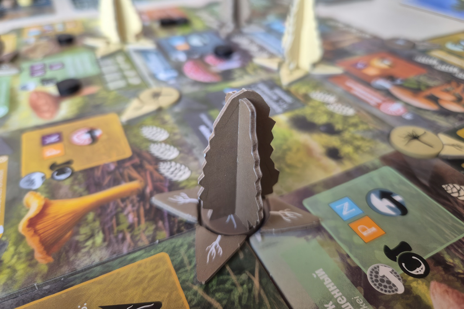 Источник: настольная игра «грибы и корни»