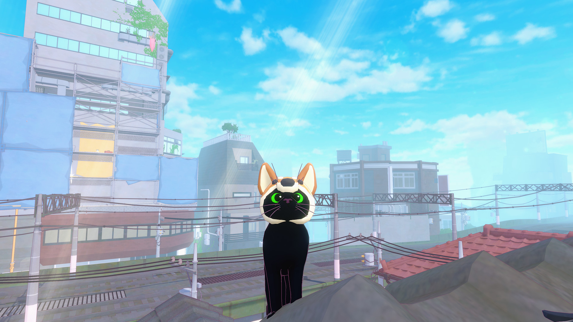 Источник: видеоигра Little Kitty, Big City