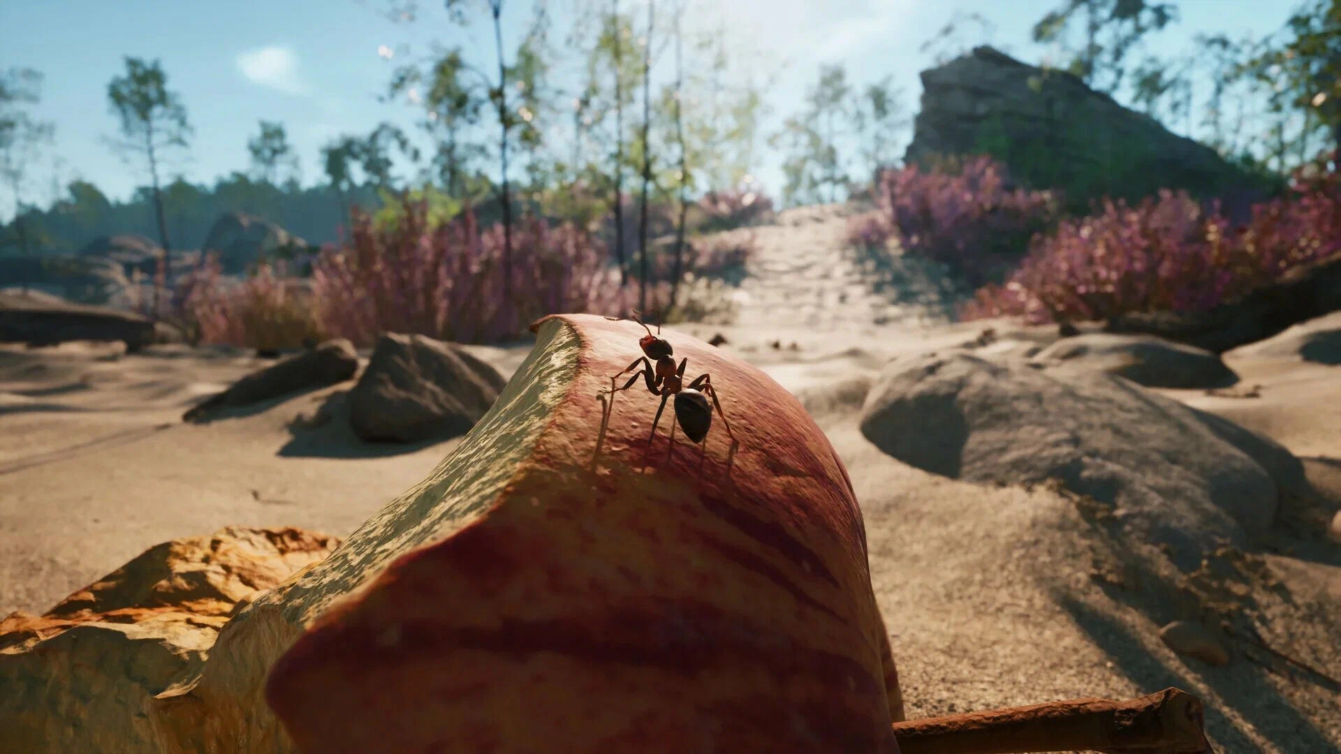 Источник: видеоигра Empire of the Ants