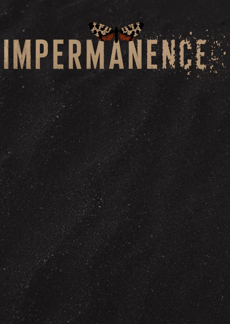 Impermanence
