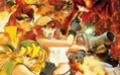 Metal Slug XX