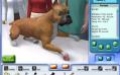 Petz Vet