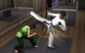 The Sims 3: Мир приключений - изображение обложка