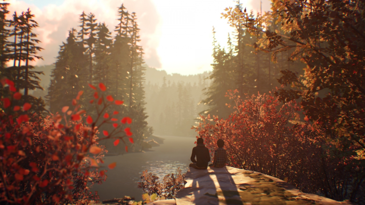 Life is Strange 2. Теперь про мальчиков - изображение 4 Life is Strange 2. Теперь про мальчиков - фото 4